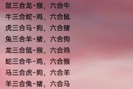 命好不好?探讨命运与个人选择的深刻关系
