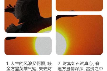 女性命里木多缺金的命运解析与调和方法