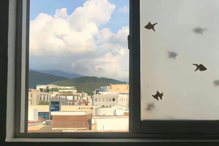 没有人会要你的命：探寻生活中的压力与解脱