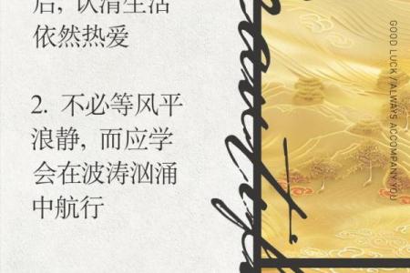 九条命的客家话：探寻生命的坚韧与智慧