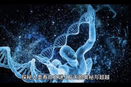 探秘命更子：揭开命理与人生的奥秘