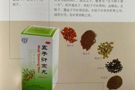 探秘五子命:命理学中的神秘与魅力