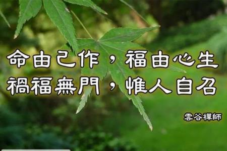 探索“没有财富命”的奥秘:如何实现内心的富足与幸福