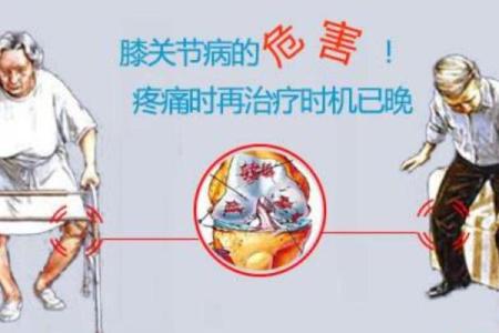 男人膝盖一条纹路的命运解析:揭示你的生活与性格秘密