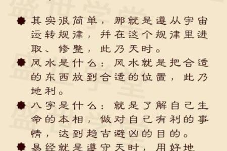 如何通过命理分析揭示你的财富潜力与人生方向