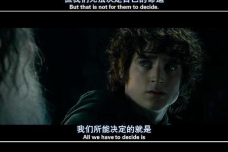 在命运的洪流中,找到属于自己的光芒与勇气