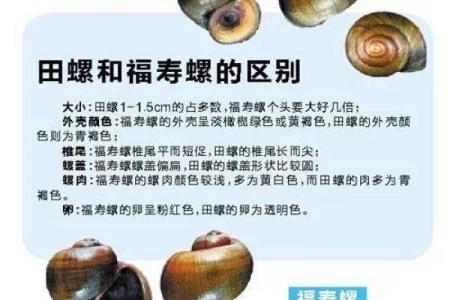 男人8个螺纹的命运解析:探索内心深处的秘密