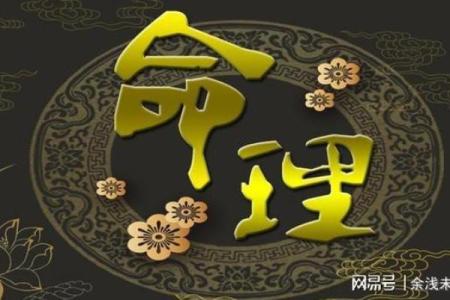 木命人适合的生意：开启你的财运之门！