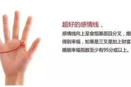 女人的命运与双螺纹的神秘联系:解读命理背后的智慧