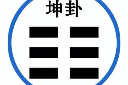揭秘命卦坤命的深刻内涵与人生启示，探索阴柔之美与力量