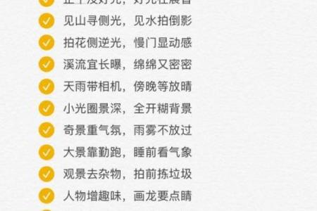 探究女命的智慧：应验最多的歌诀解析