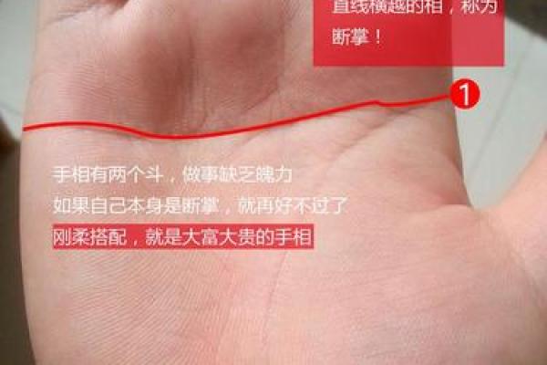 探秘断掌命：揭示女人命运的神秘线索与生活启示