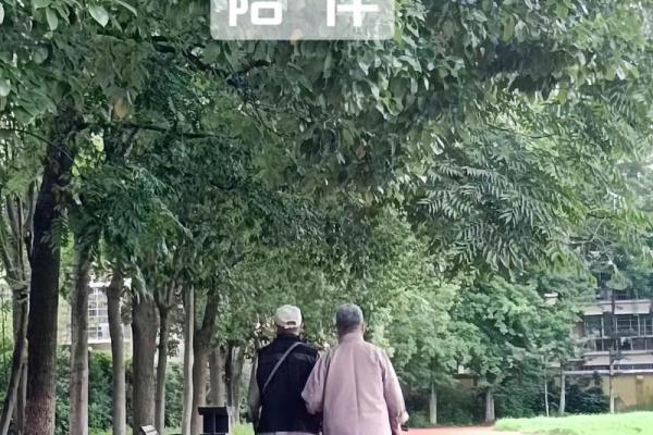 揭示夫妻命运：缘定三生的爱情与相互扶持