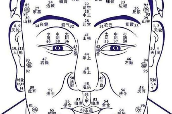 命盘中的岁数与十二宫的神秘关联，让你的人生轨迹更明晰！