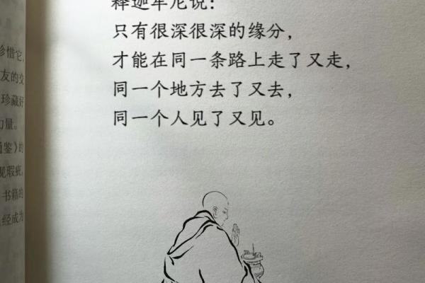 命里有三段缘：揭示人生中的缘分之旅