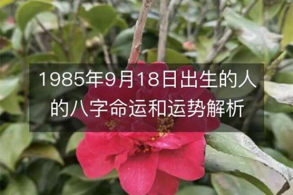 九月出生的女性五行分析与命运安排探讨