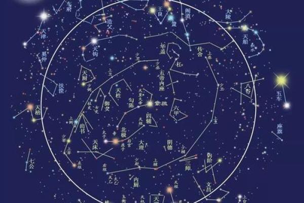 女生衣食无忧的命星与生活之道