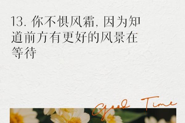 老受伤的命：在风雨中依然坚韧不拔