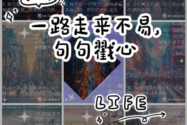 老受伤的命：在风雨中依然坚韧不拔