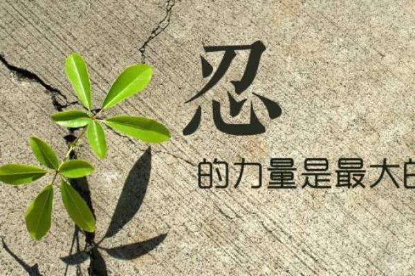 命主谋事有诚，努力与坚持的力量