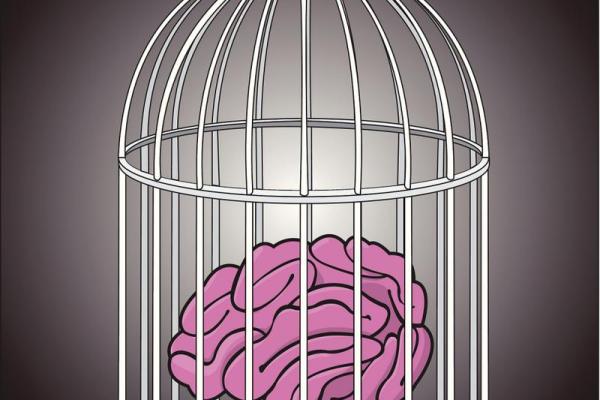 命运掌握在自己手中：命不由天的深刻启示