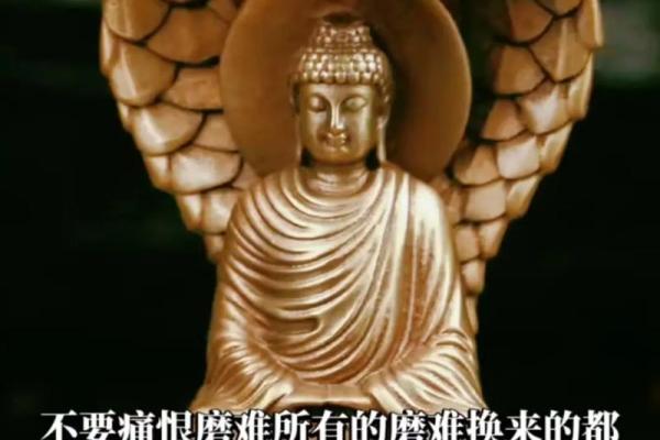 女命寅卯相合：探索命理智慧与人生的美好联系