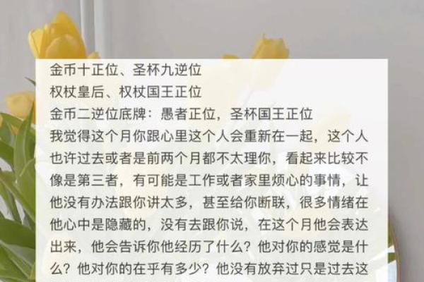 两个水瓶在一起的命运与和谐关系探讨