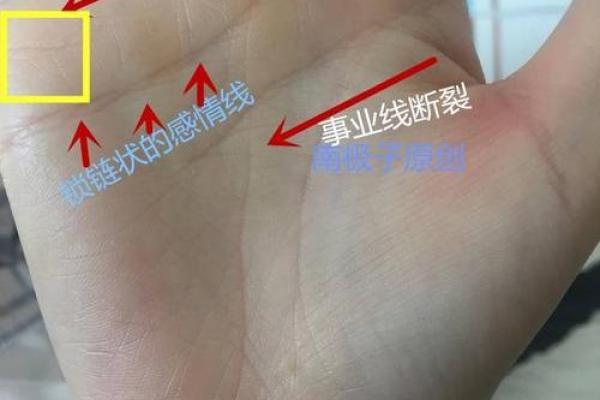 偏官男命与女命的深刻内涵：命理中的爱情与事业之路