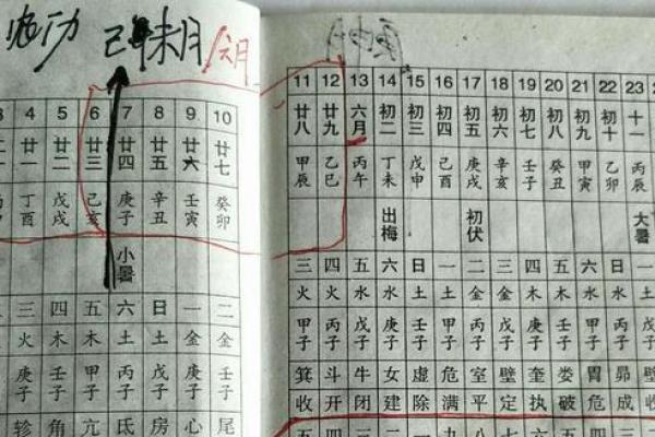 命注靠山：解析命理学中山川之力对命运的影响