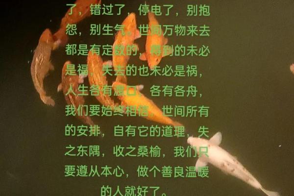 命里有时终须有，命里无时莫强求的深刻解读