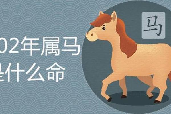 六六年属马人的命运解析：勇敢与机遇交织的精彩人生