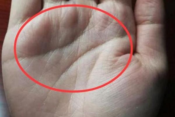 男命带什么是富贵命？解密富贵命的奥秘与追求！