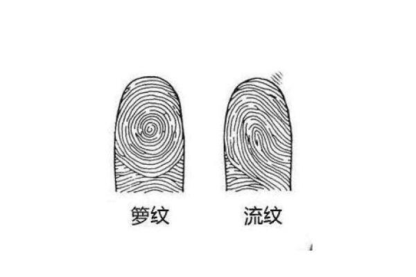 女生手上有九个斗，这是什么命运与特点？