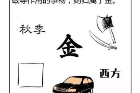 牛年五行命理解析：适合牛年的五行属性详解！
