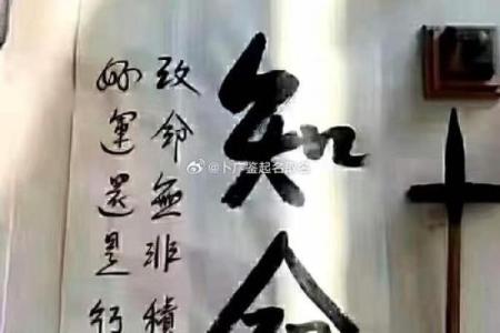 命运与选择：命里注定的生活轨迹与我们能否改变它？