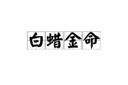 命里金命:探寻金命的深层含义与生活价值