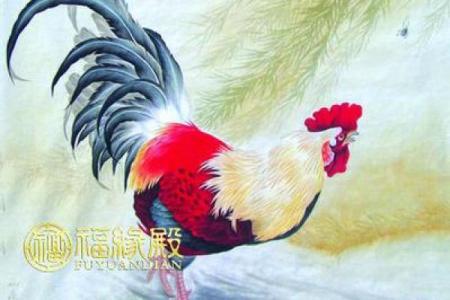 卯时兔吃草，命属鸡的奇妙人生与命运解读