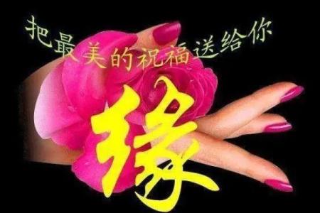 命里有三段缘：揭示人生中的缘分之旅
