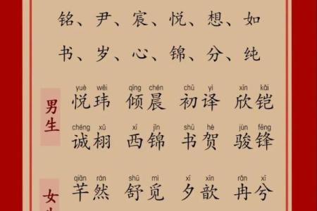 龙年女孩的五行解析：属命与人生的奇妙关系