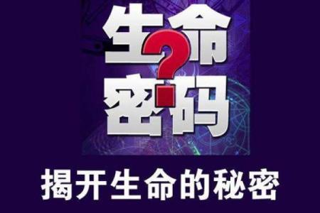 揭开男命八字时支的神秘面纱:解析影响人生的秘密力量
