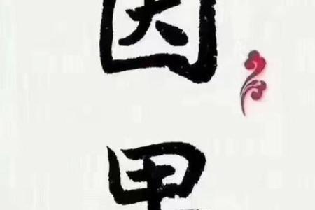 揭示女命八败：命理中的神秘与启示