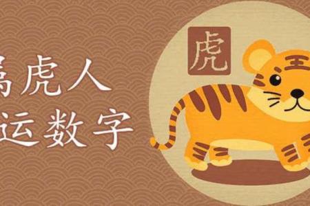 九月虎宝宝出生：命理解析与人生幸福之路