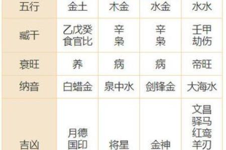 解析女命日柱日元为食神的深刻意义与人生启示
