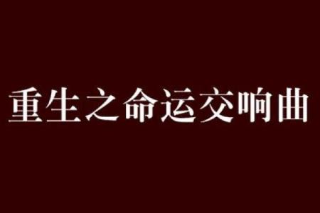 命运的交响乐：探寻以“命”为起点的美丽词语
