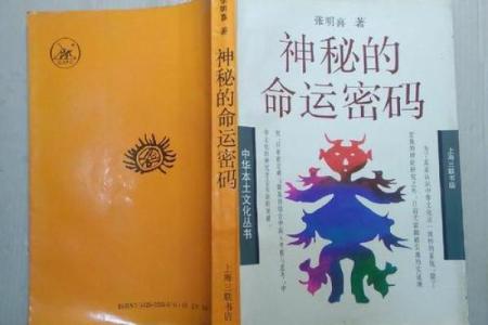 命局财格高：财富与命运的神秘交织