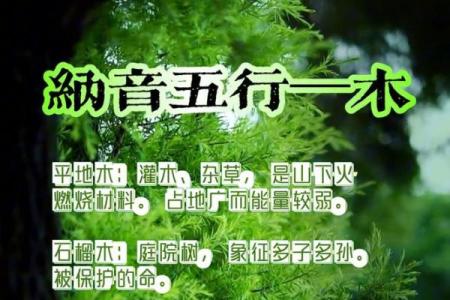 木命与土命的奇妙结合:探索五行相生之美