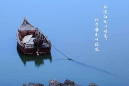 探寻路边土命的奥秘：自然的智慧与我们的生活