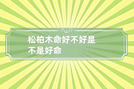 木命人士与哪些命相辅相成，共创美好未来！