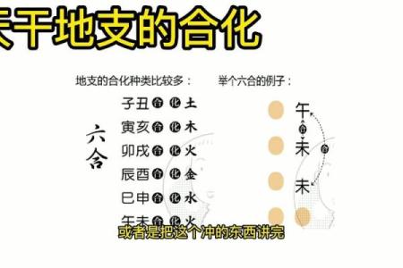 命理中的天干与地支：探索古老智慧的奥秘