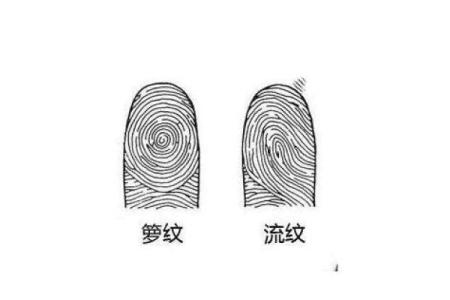 女生手上有九个斗,这是什么命运与特点?